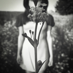 Bad Seed