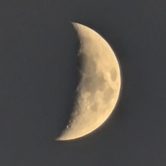 On the Phone (Again)