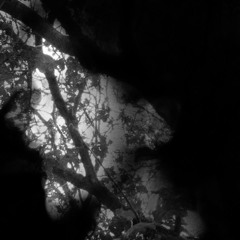 destroy lonely - show u how (sidesho mix)