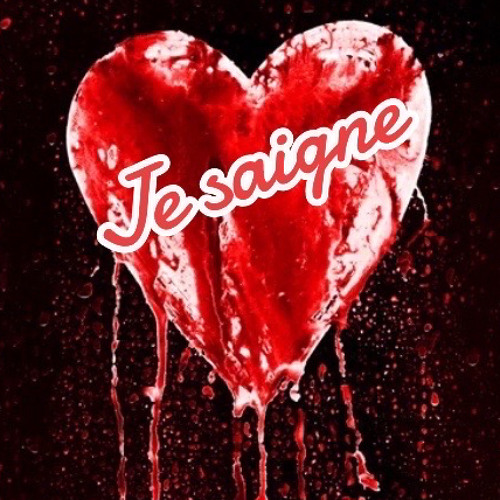 Remixe je saigne feat  Dj Myterious