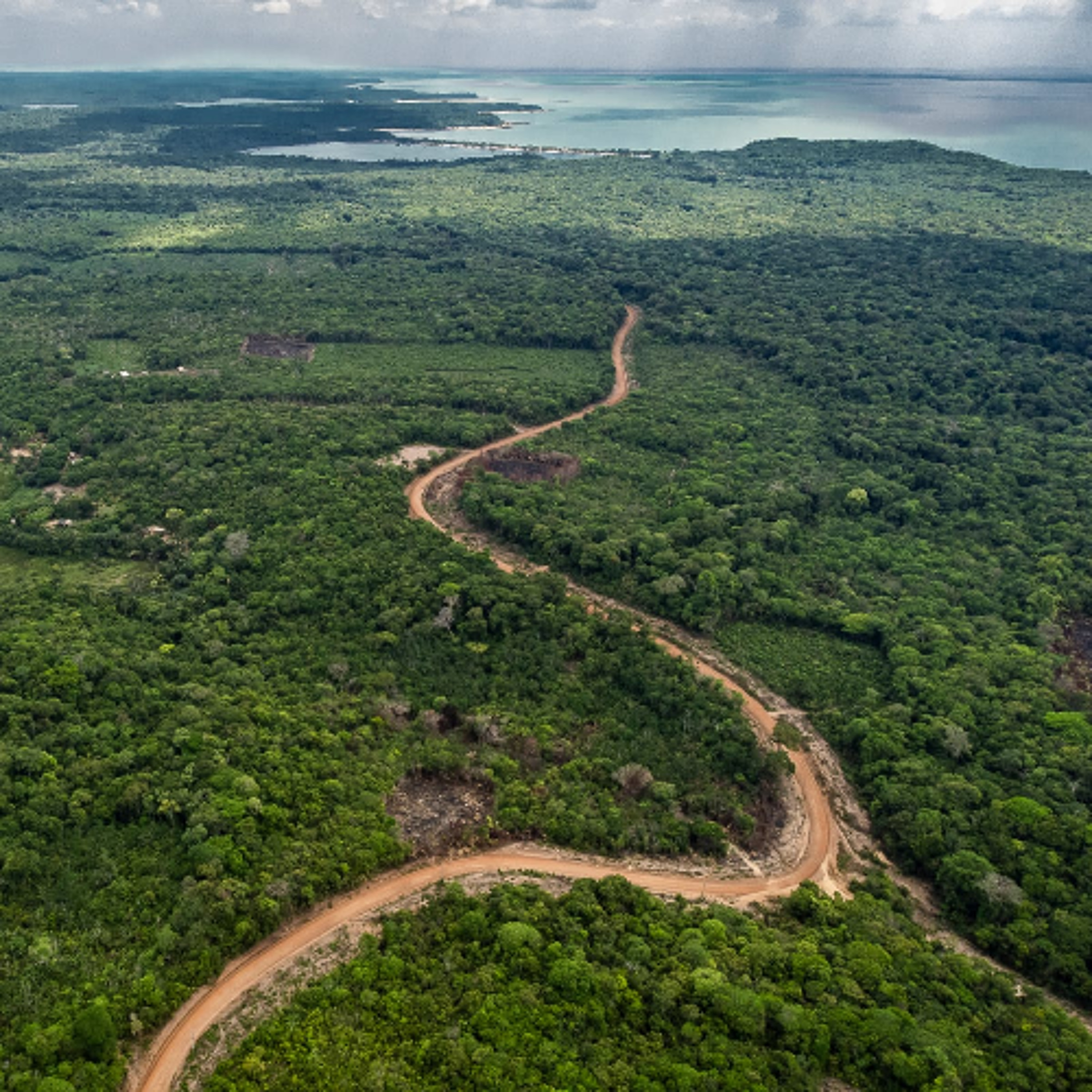 Destaques do Alô: Amazonas em alerta pra MPox, MPF apresenta TAC para regularização de Usina hidrelétrica que impacta povos indigenas do planalto santareno