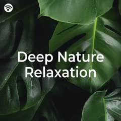 Soothing Melodies of the Deep Woods