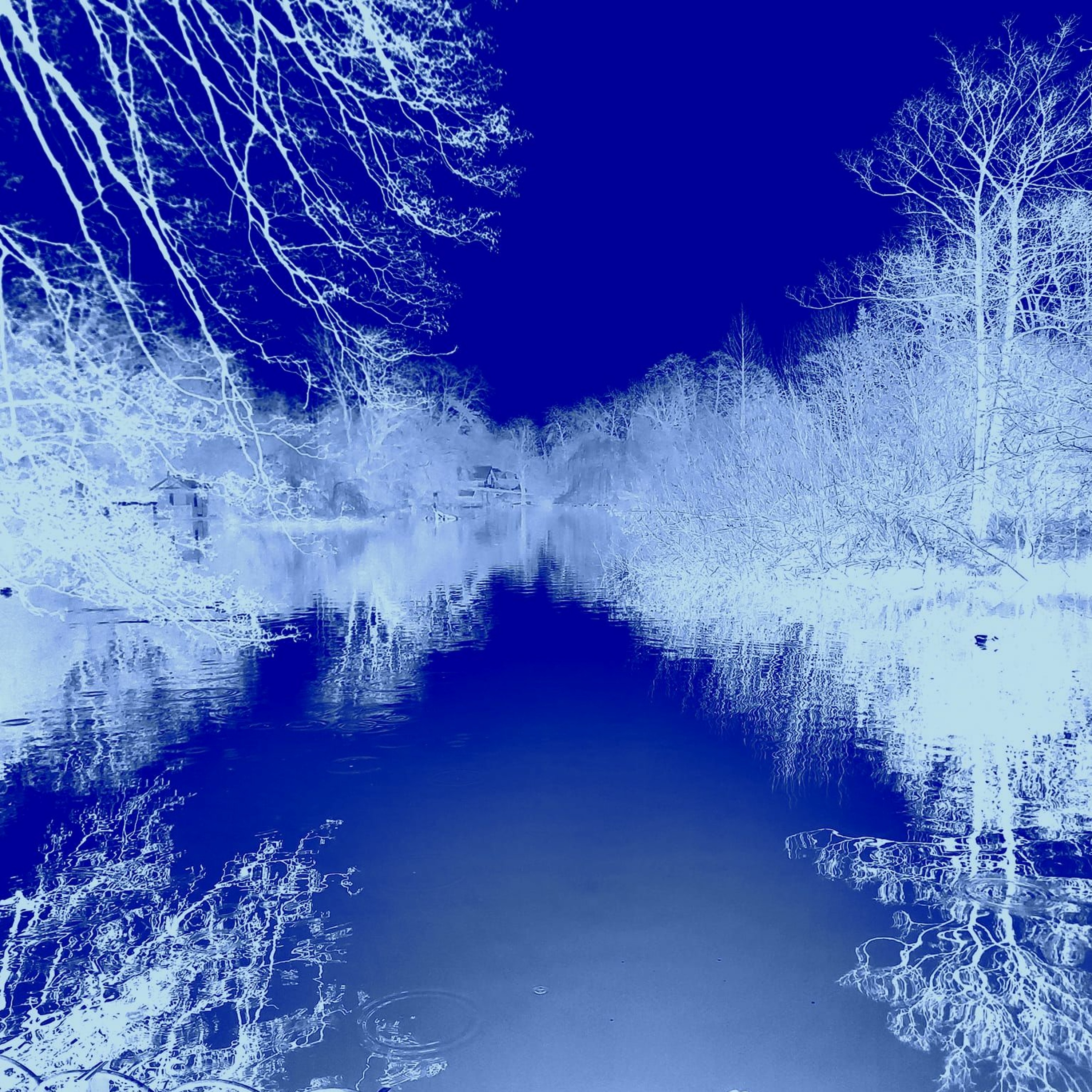 TheOxfordAmbientCollective