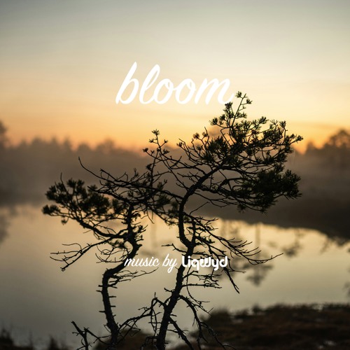 Bloom (Free download)