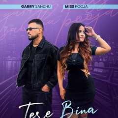 Tere Bina | Garry Sandhu | Miss Pooja