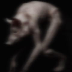 Rural Demon~𝒷𝓎 𝒮𝓀𝒶𝓂𝒶𝓃𝒹𝑒𝓇𝓈~