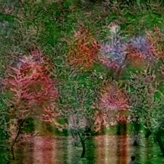 repostCassette.ikiru