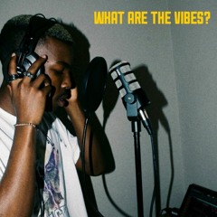 What Are The Vibes? (Prod. CCG)