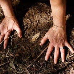 grounding