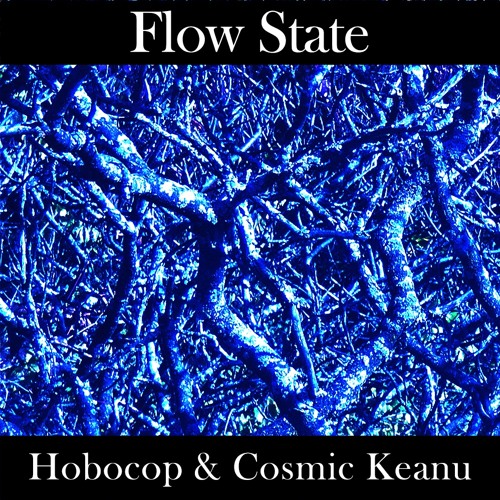Flow State(Hobocop & Cosmic Keanu)VIDEO AVAILABLE🎥
