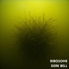 Ribosome