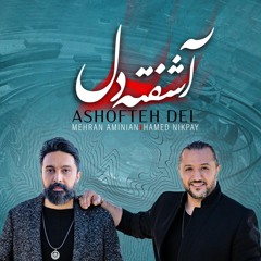 Ashofteh Del