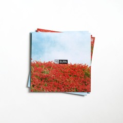 YS - Burn 12" (Pace yourself & Erf Records)