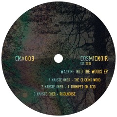 Nahste Oner - A Trumpet On Acid [Cosmicnoir]