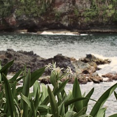 Deep ocean waves meet the cliffs · Relaxing Sounds from The Light Garden Hawaii