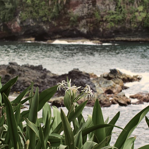 Deep ocean waves meet the cliffs · Relaxing Sounds from The Light Garden Hawaii