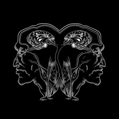 Nocturnal Frequencies "Vitruvian LP" Premiers