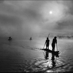 Shadows Dance
