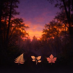 Twilight In The Trees