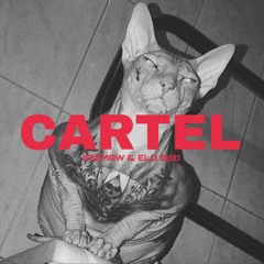Whisnu Santika, Hbrp, Keebo - Cartel (RiZMAW & Elo Edit)
