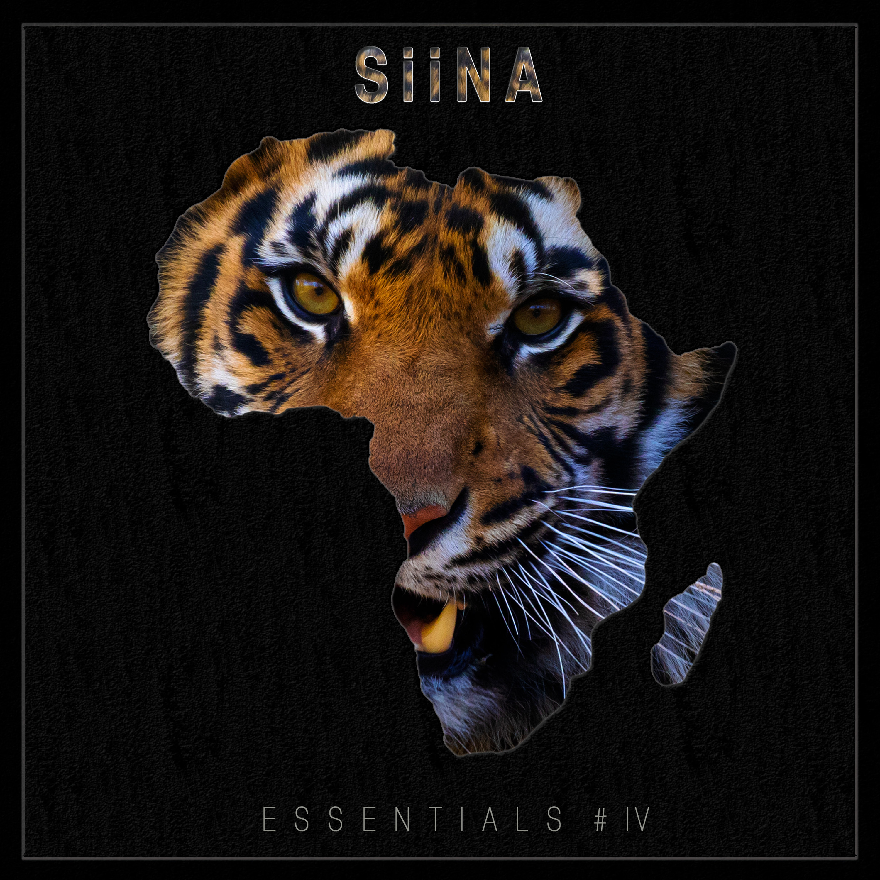 Essentials #4 episode artwork