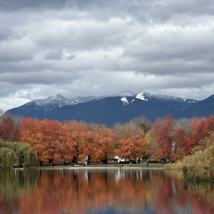 Wildflower - Billie Eilish (Cover)