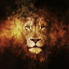 My Songs / Remixes