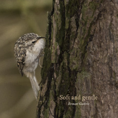 Soft and gentle