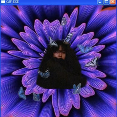 Butterfly’s repose cover