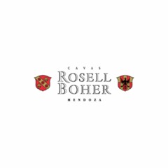 Rosell Boher -  Alejandro Martinez