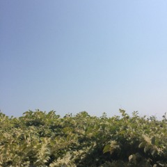 on my mind (jstr vs. ᵍʳᵉʸ ᵍᵒᵒˢᵉ g-mix)