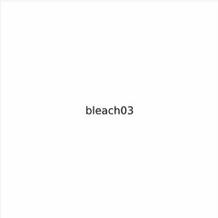 bleach w/ bleach03