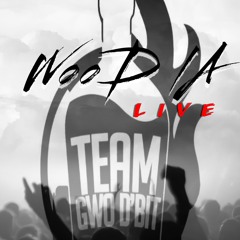 Wood La Live VOL1(TEAM GWO D'BIT - LK CREW)