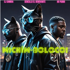 MICHÍN BOLOCO   remix AUDIO OFICIAL