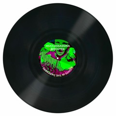 Lights In The Darkness [Muccassassina Records]