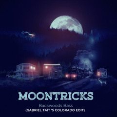 Moontricks - Wood For The Trees (Gabriel Tait's Bootleg Colorado Edit)