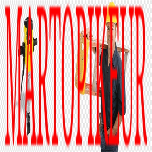 MARTOPIKEUR [SALVE1]