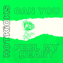 Can You Feel My Heart