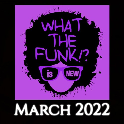 Stream Funky Disco House Mix 2022 What The Funk s New By 