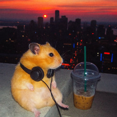 SARAN - COLD NIGHT KatikaGet COVER