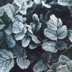 first snow