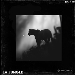LA JUNGLE | Freeze Corleone x Jolagreen23 Type Beat