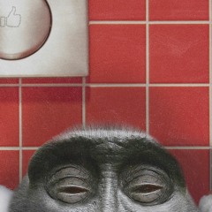 Music Discovery XO Auditions