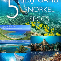 Best Places To Snorkel Oahu Prices Reviews