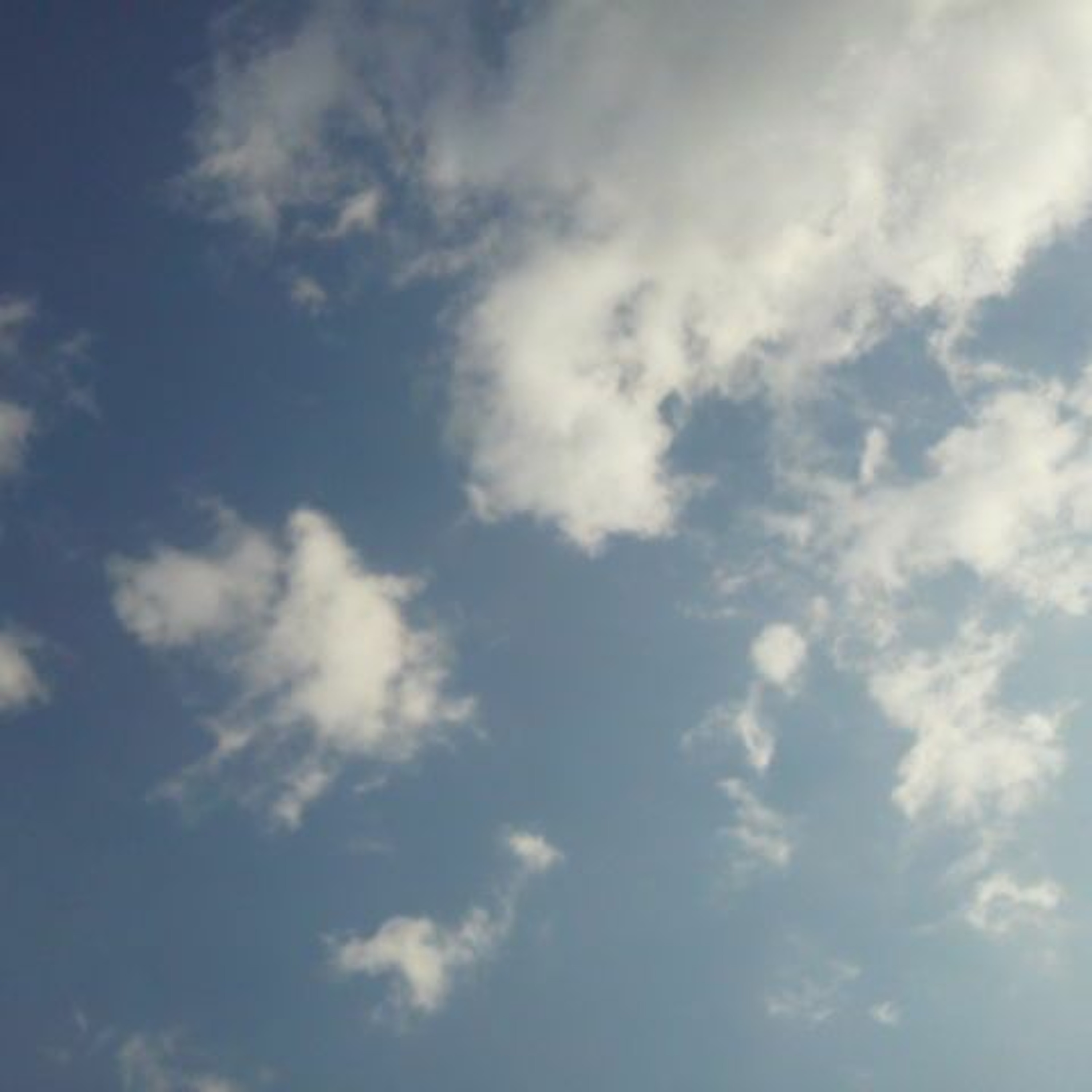 Morning