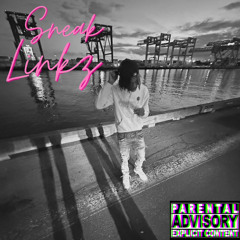 SneakyLinkz (prod. swalehbeats)