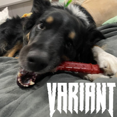 VARIANT DUBZ MINI MIX 06