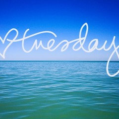 Tuesday tune in