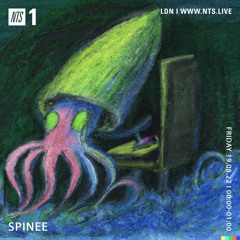 SPINEE - NTS - 19-08-22