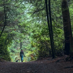 Will You Take A Walk With Me